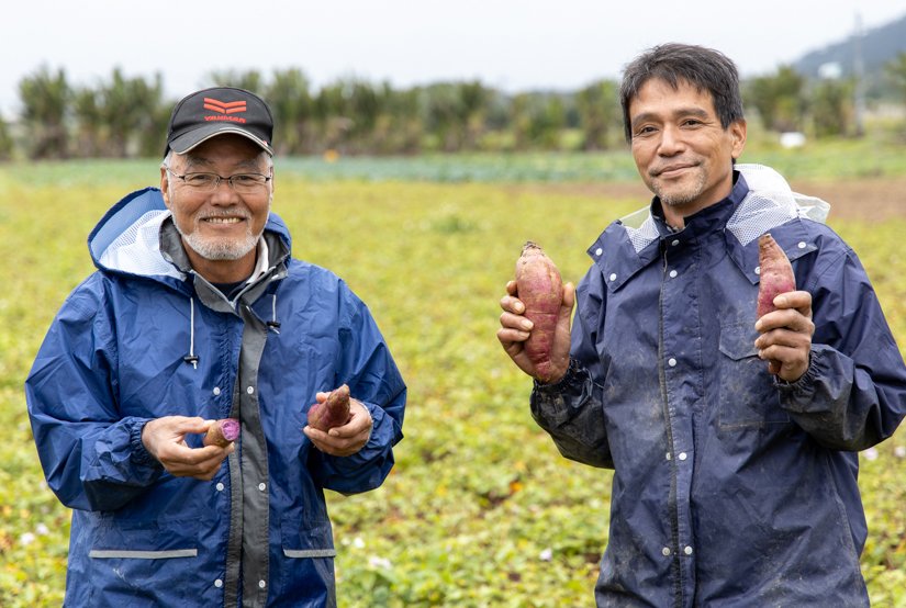 🍍 이시가키 관광 파인애플·망고 과수원(이시가키 칸코 파인·만고엔) 이미지 4